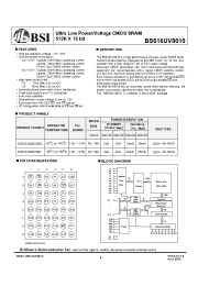 Datasheet  BS616UV8010