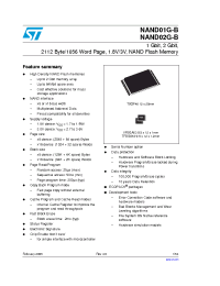 Datasheet  NAND01G-B