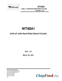 Datasheet  WT5041